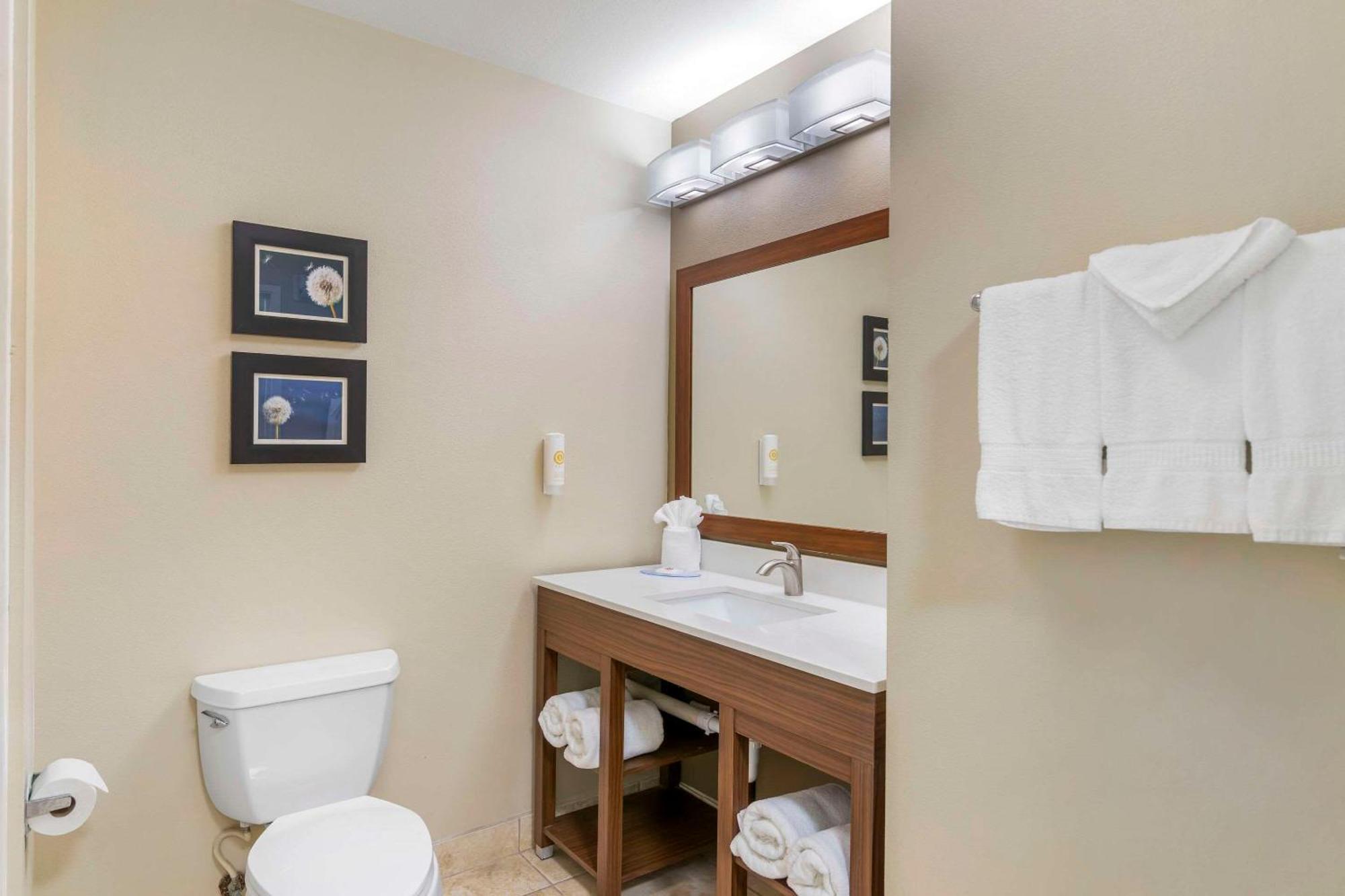 Comfort Inn & Suites Tifton Luaran gambar